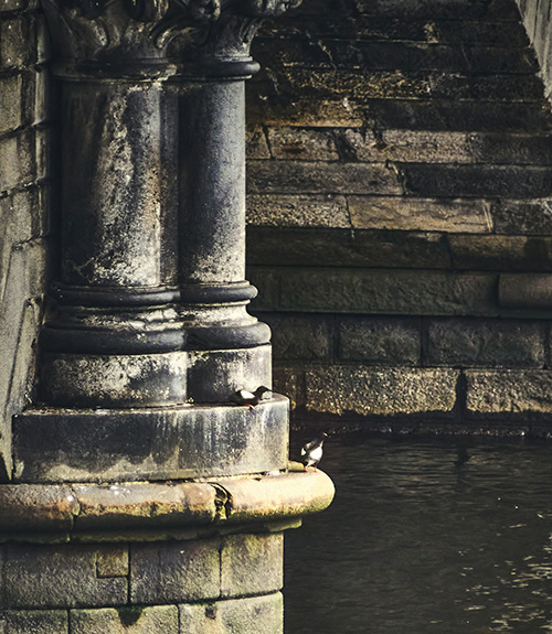 photo of two pillars, symbolizing the foundation of Rooted Allies